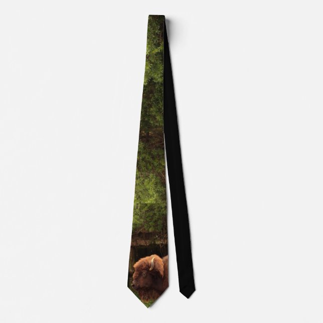 Buffalo (Bison) Kansas, Oklahoma, Wyoming Neck Tie (Front)