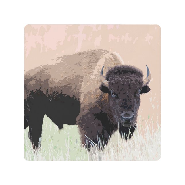 Buffalo / Bison Metal Print (Front)