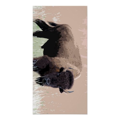 Buffalo  Bison Poster