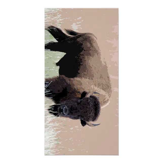 Buffalo / Bison Poster | Zazzle