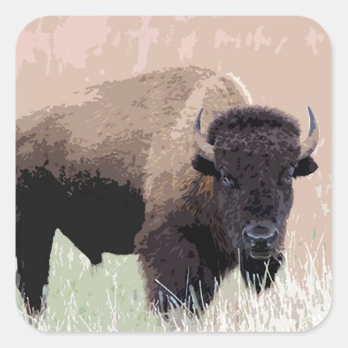 Buffalo  Bison Square Sticker