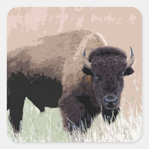 Buffalo / Bison Square Sticker
