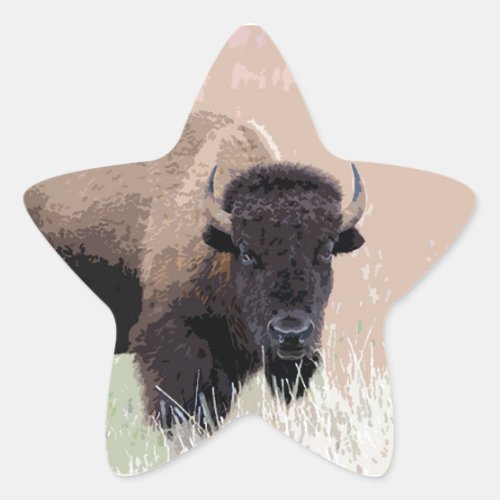 Buffalo  Bison Star Sticker