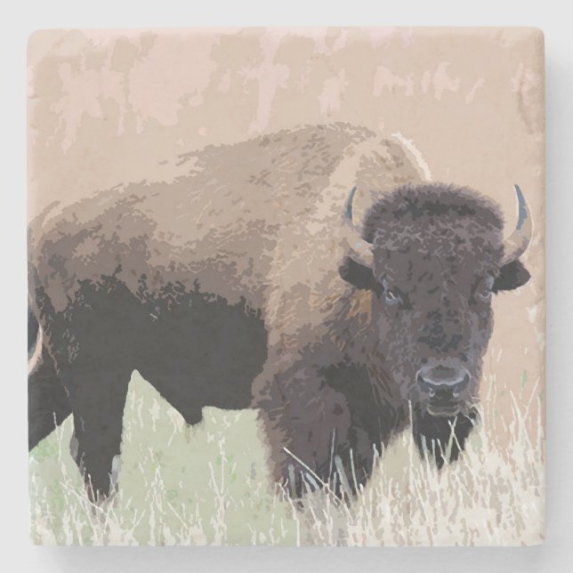Buffalo / Bison Stone Coaster (Front)