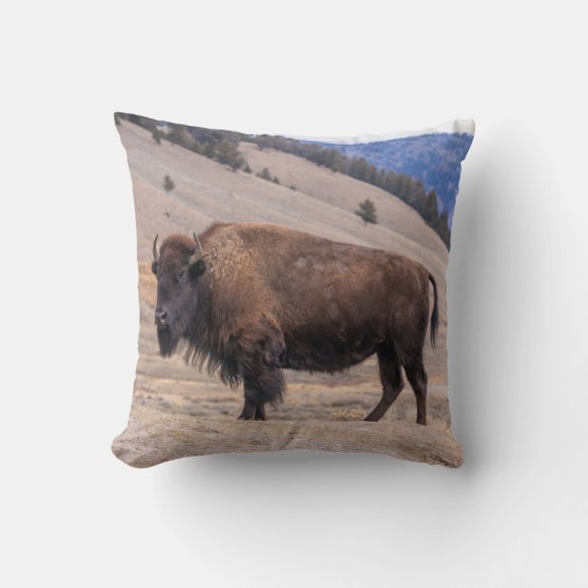 Buffalo Bison Throw Pillow (Front)