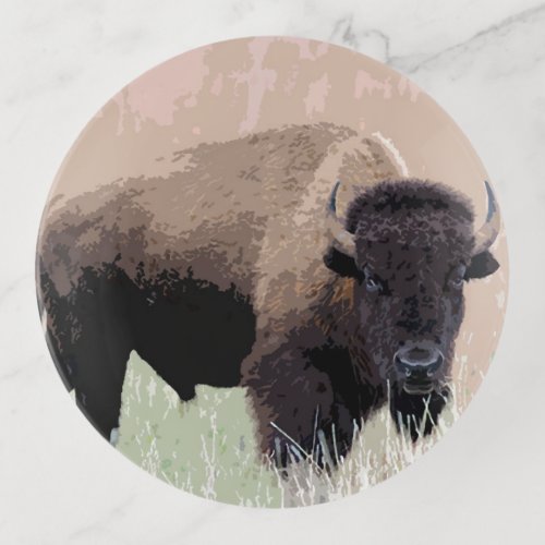 Buffalo  Bison Trinket Tray