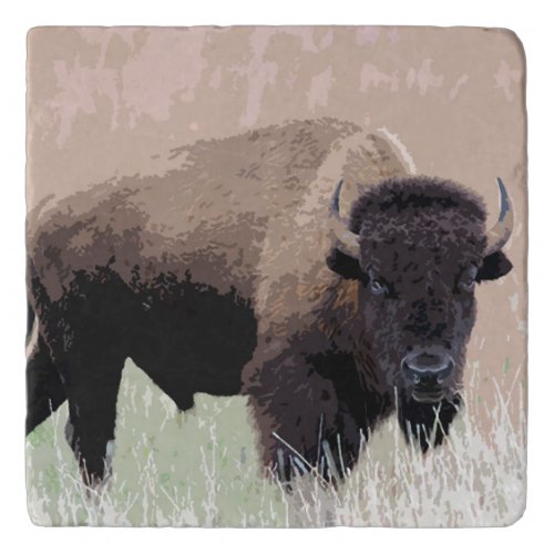 Buffalo  Bison Trivet