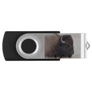 Buffalo Bison Up Close Flash Drive