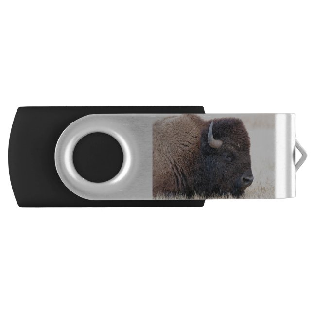 Buffalo Bison Up Close Flash Drive (Front)