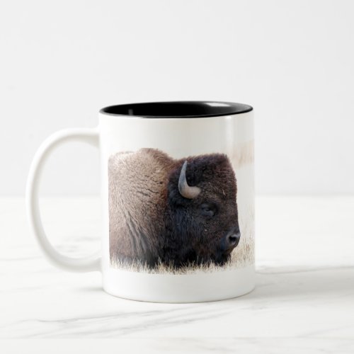 Buffalo Bison Up Close Two_Tone Coffee Mug