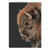 Buffalo, Bison, Watercolor Animal (Front)