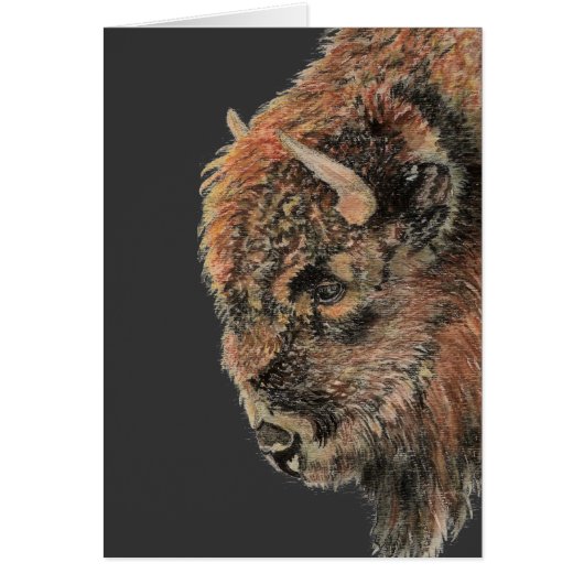 Buffalo, Bison, Watercolor Animal Cards (Front)