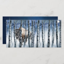 Buffalo Bison Winter Woods Christmas Card