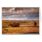 Buffalo Bones Plowed Under by Harvey Thomas Dunn