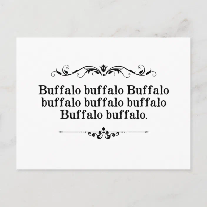 Buffalo Postcard | Zazzle.com
