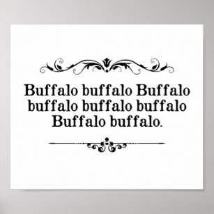 Buffalo Buffalo Sentence Poster
