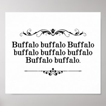 Buffalo Buffalo Sentence Poster by The_Shirt_Yurt at Zazzle