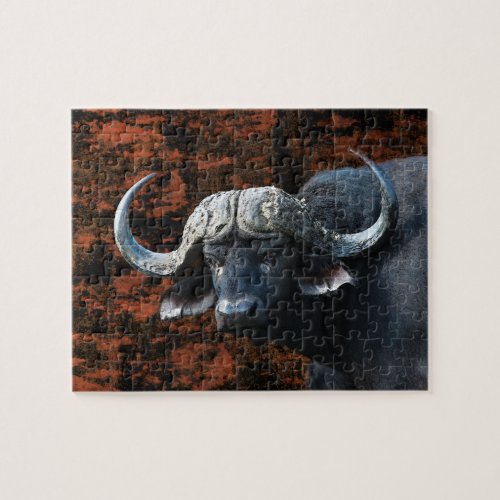 Buffalo bull fine art photography wildlife rowood jigsaw puzzle