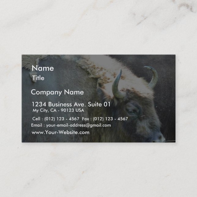 Buffalo Business Card (Front)
