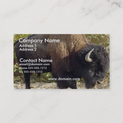Buffalo Business Card