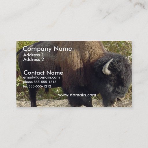 Customizable Buffalo Business Card