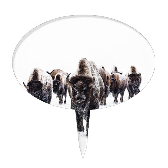 Buffalo Cake Topper