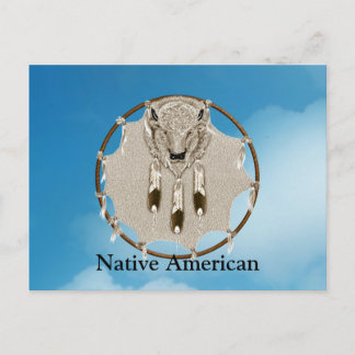 Buffalo Dreamcatcher Postcard