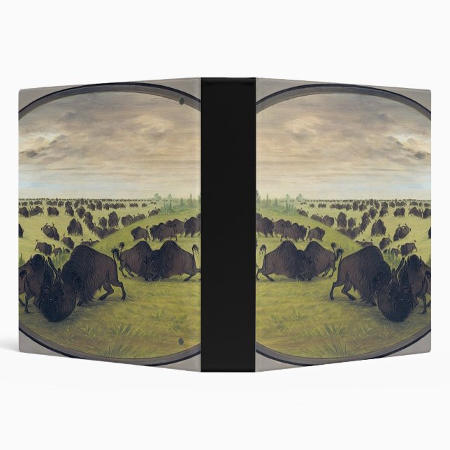 Buffalo fighting 3 ring binder (Background)