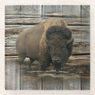 Buffalo Glass Coaster