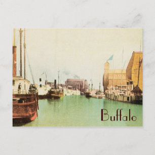 Buffalo Harbor Vintage Postcard
