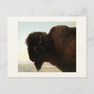 Buffalo Head art Albert Bierstadt bison painting Announcement