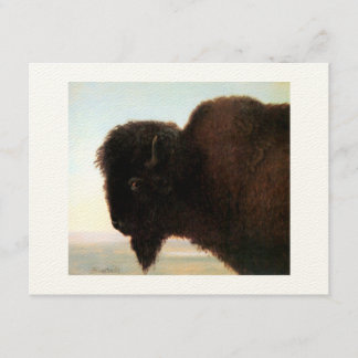 Buffalo Head art Albert Bierstadt bison painting Announcement