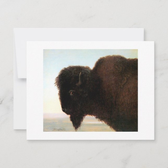 Buffalo Head art Albert Bierstadt bison painting Announcement (Front)