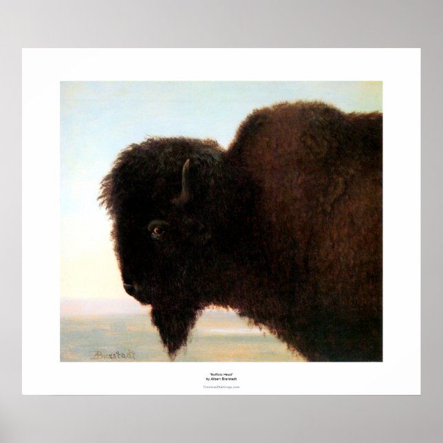 Buffalo Head art Albert Bierstadt bison painting Poster (Front)
