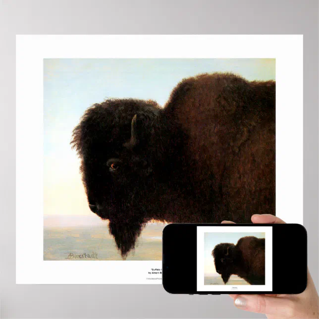 Buffalo Head art Albert Bierstadt bison painting Poster | Zazzle