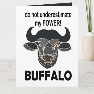 Buffalo Head Bison Animal Buffalo