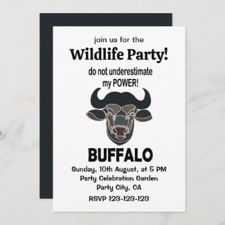 Buffalo Head Bison Animal Buffalo