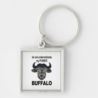 Buffalo Head Bison Animal Buffalo