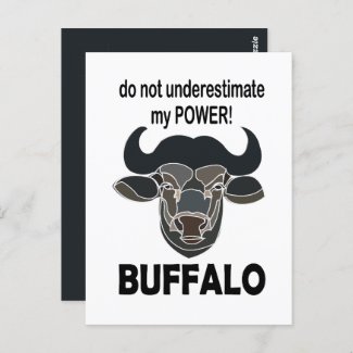 Buffalo Head Bison Animal Buffalo