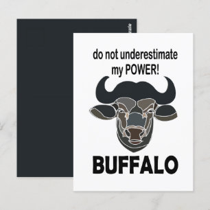 Buffalo Head Bison Animal Buffalo Postcard