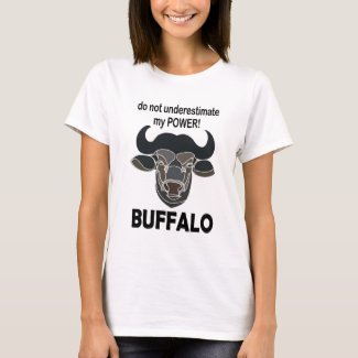 Buffalo Head Bison Animal Buffalo