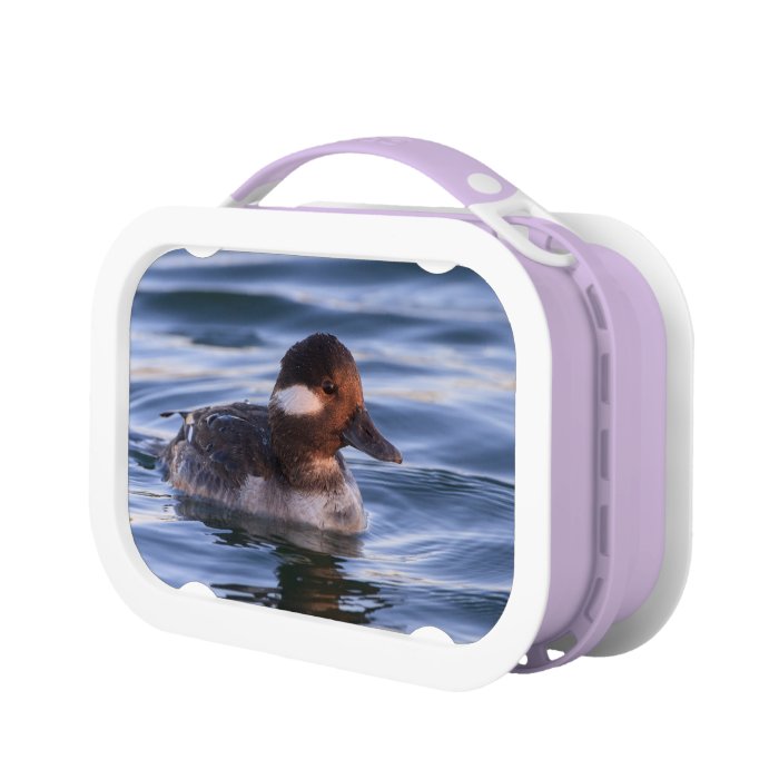 Buffalo Head Duck Yubo Lunchbox