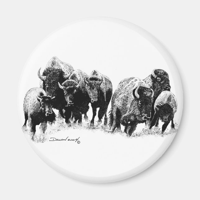 Buffalo Herd Magnet (Front)