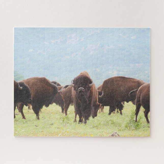 Buffalo Herd Photo Puzzle (Horizontal)