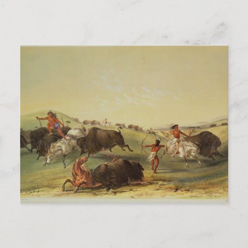 Buffalo Hunt Postcard