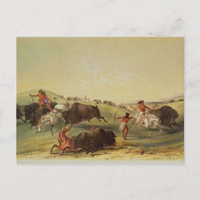 Buffalo Hunt Postcard (Front)