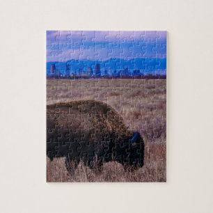 Buffalo in Denver, Colorado Jigsaw Puzzle