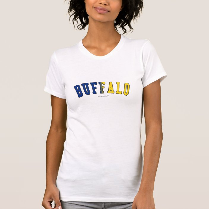 Buffalo in New York State Flag Colors Tee Shirt