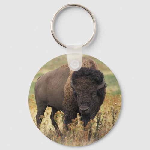 Buffalo Keychain