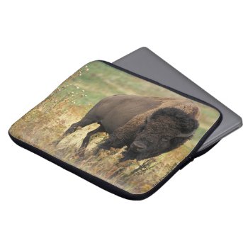 Buffalo Laptop Sleeve by MarblesPictures at Zazzle